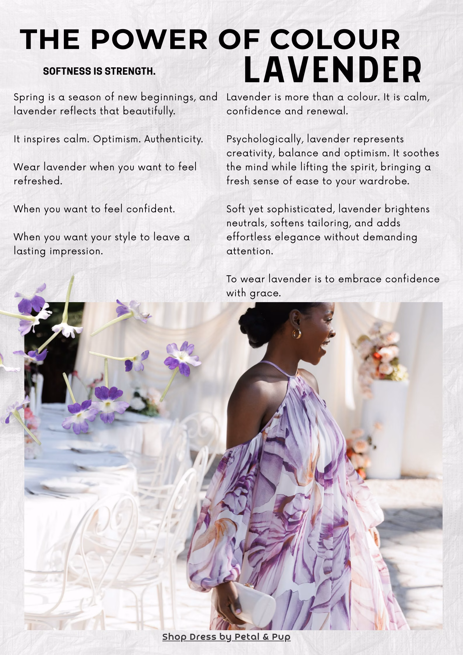 Page 8 - The Power of Colour - Lavender